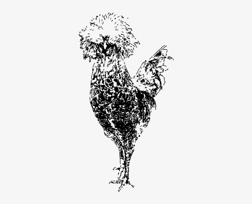Home / Shop For Gifts / Chicken Keeper Gifts / Flock - Sketch, transparent png download