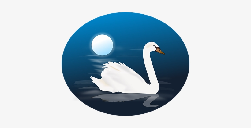 Cygnus Swan Animal Bird Blue Moon Nature N - Swan Clipart, transparent png download