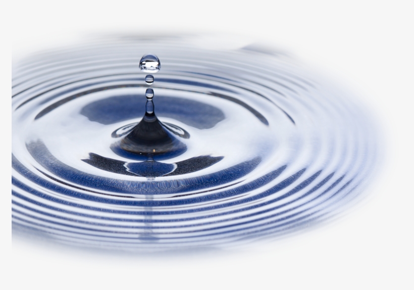 Dr. Lawrence G. Lenke, Md, transparent png download