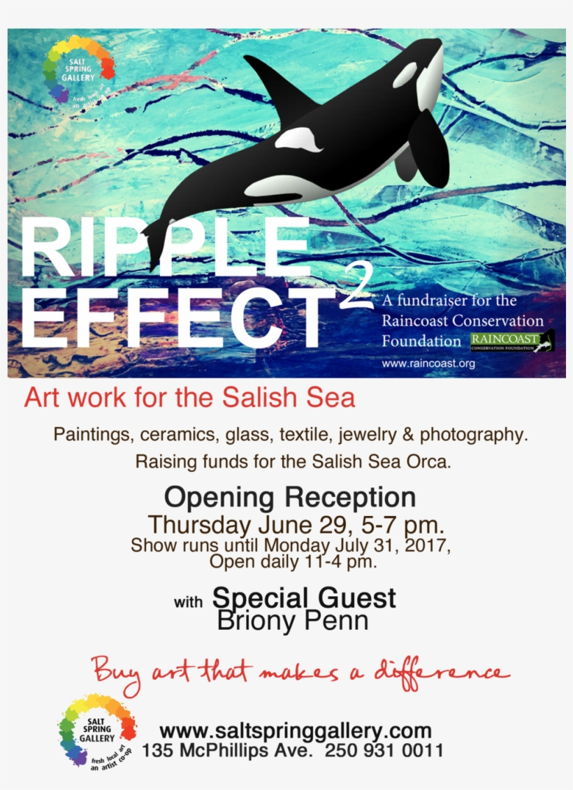 Art Work For The Salish Sea - Killer Whale, transparent png download