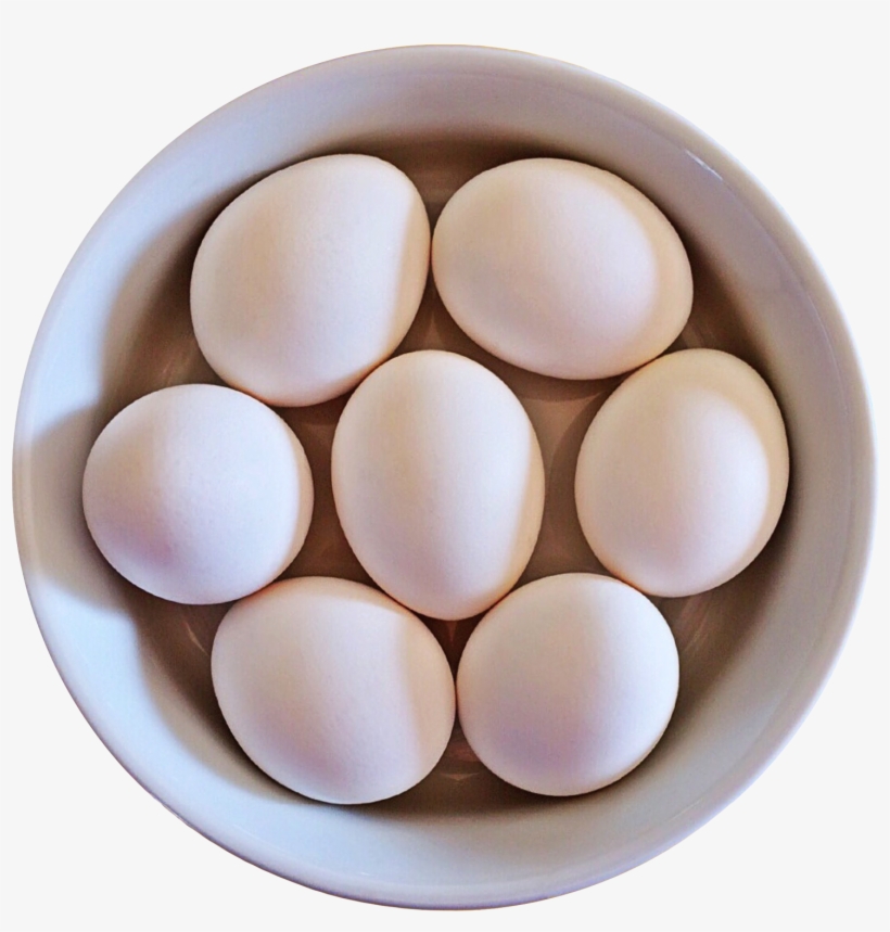 Circle, transparent png download