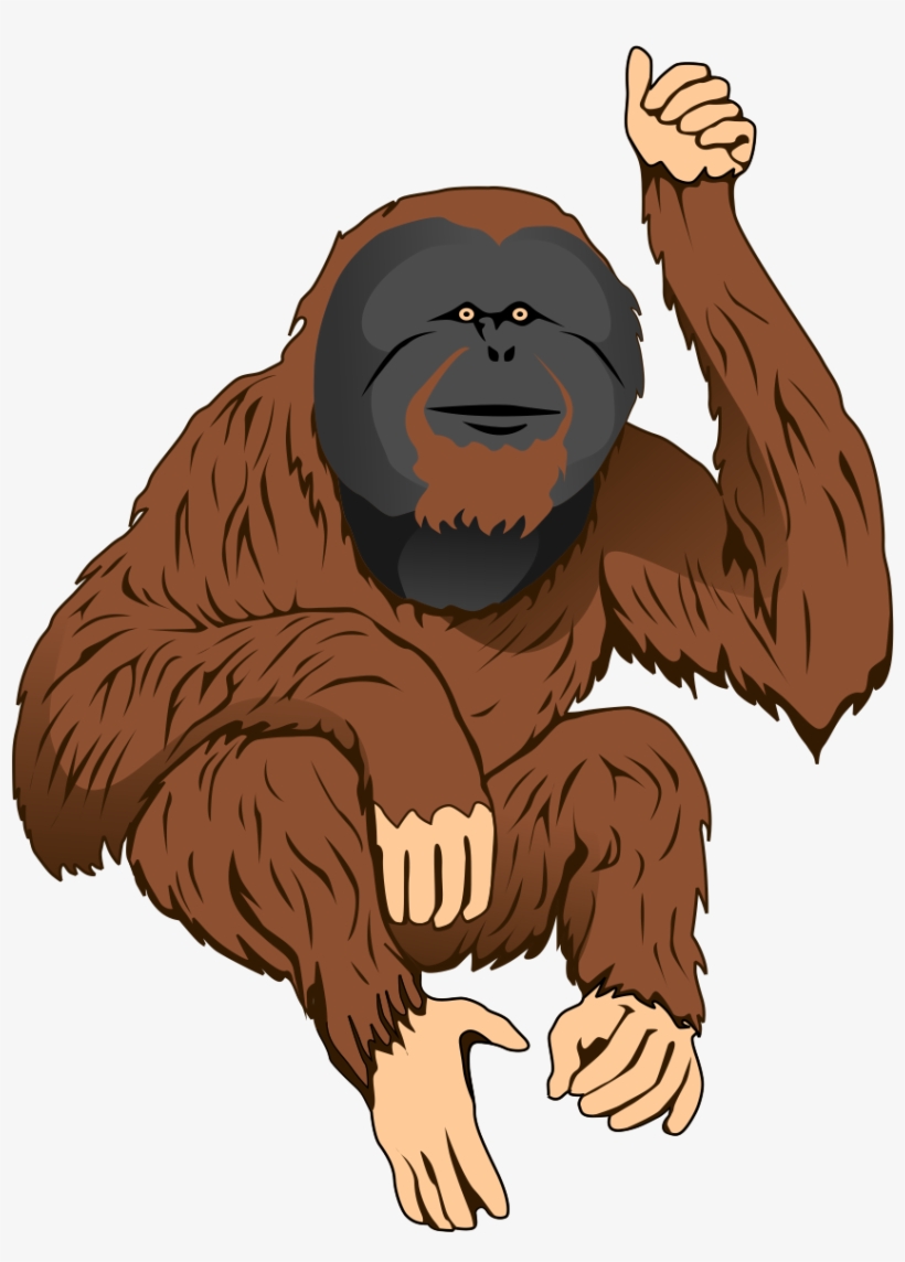 Gorilla Clipart Traceable - Orangutan Clipart, transparent png download