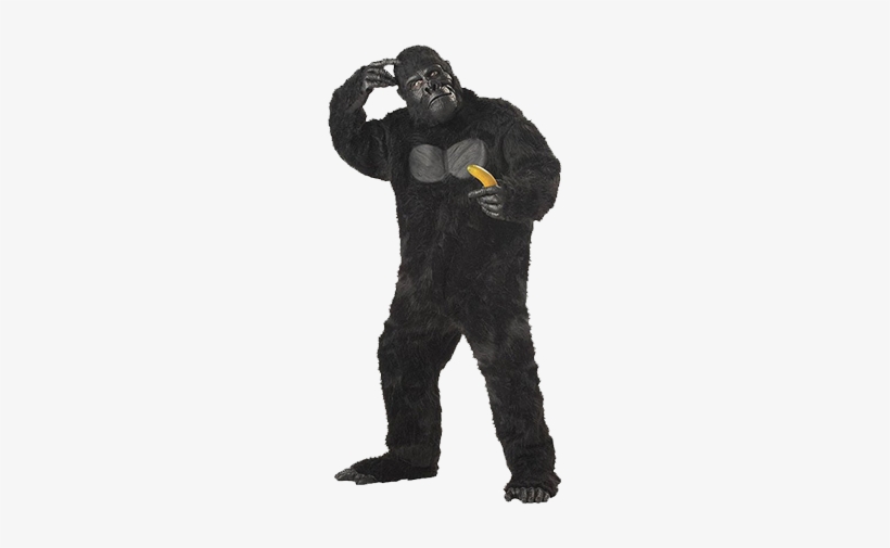 Gorillah-bf - Gorilla Costume, transparent png download