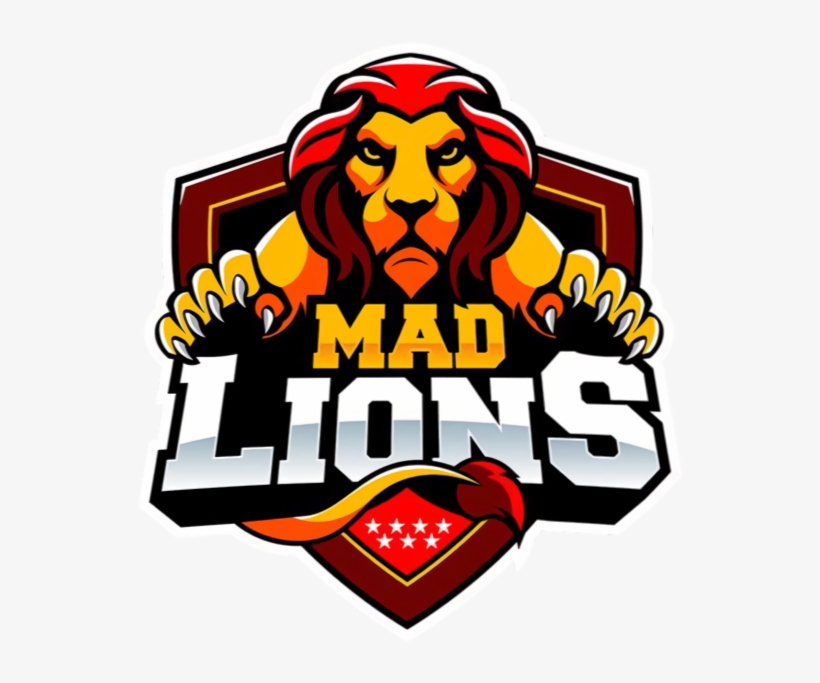 Mad Lions, transparent png download