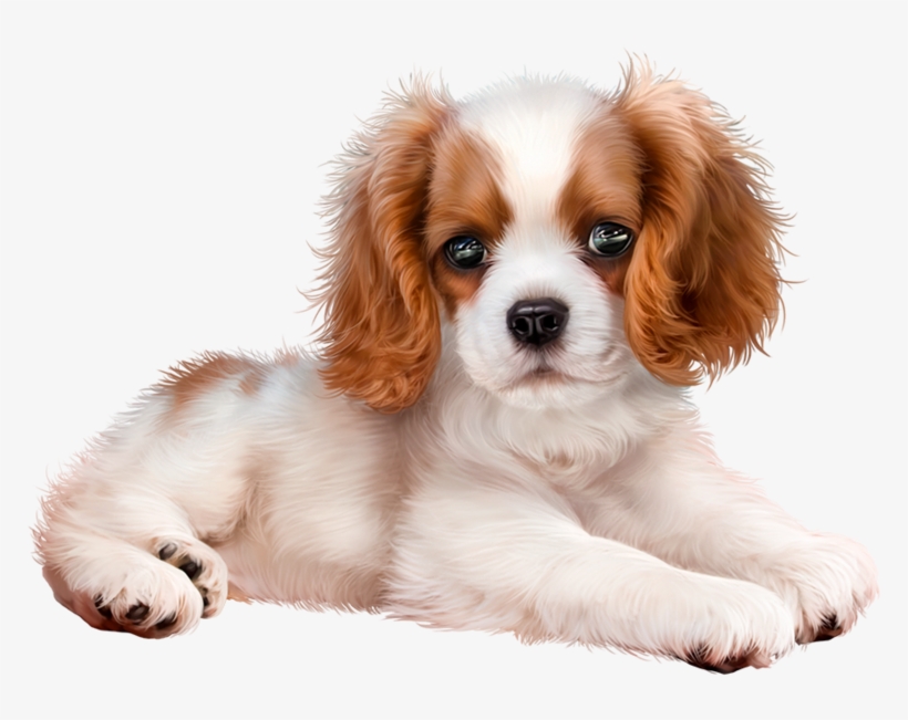 Image Du Blog Lepassetempsderose, transparent png download