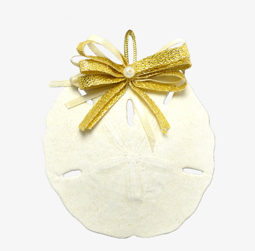 Round Sand Dollar Christmas Holidays Ornament 3-4" - Round White Sand Dollar Christmas Holidays Ornament, transparent png download