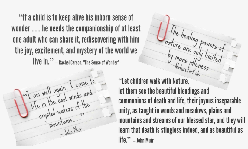 Nfk Quotes - “ - Quotation, transparent png download