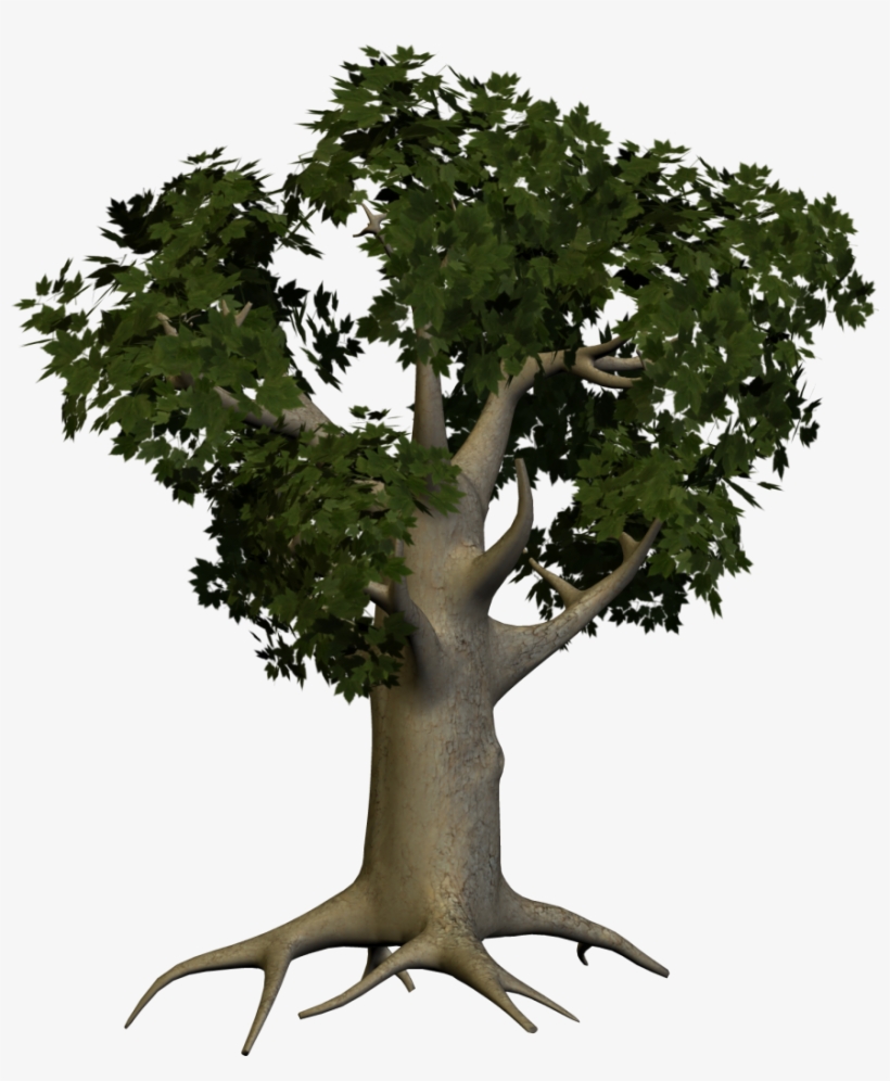 Tree Png Animated - Tree Trunk Png Hd, transparent png download