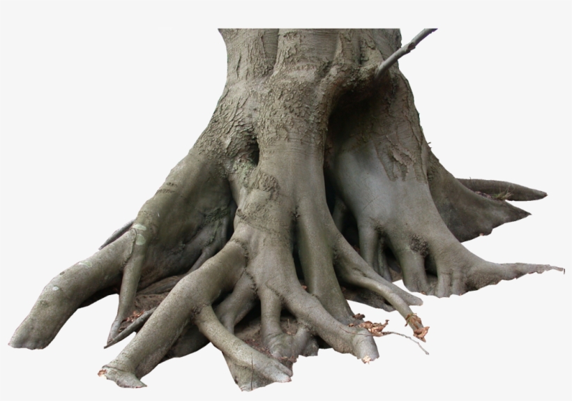 Tree Trunk Http - Journal Of Green Engineering 5-2, transparent png download