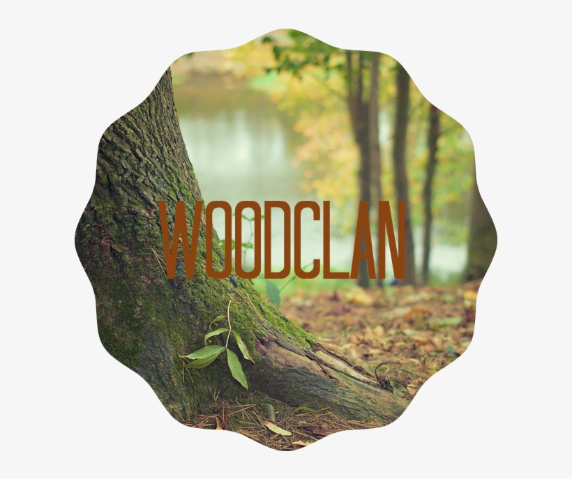 Tree Trunk 569275 960 720 - Federal Forest Restoration: Assessments Of Large Scale, transparent png download
