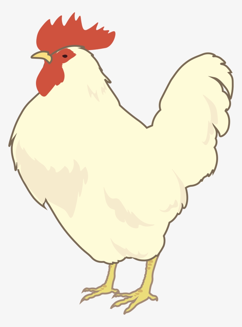 white leghorn hen png leghorn chicken transparent png 764x1027 free download on nicepng white leghorn hen png leghorn chicken