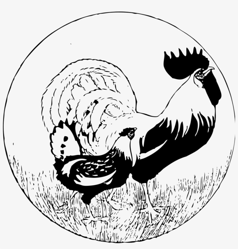 How To Set Use Rooster And Hen Clipart, transparent png download