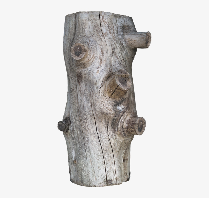 Tribe, Trunk Wood, Rindenlos, Log, Branches - Wood, transparent png download