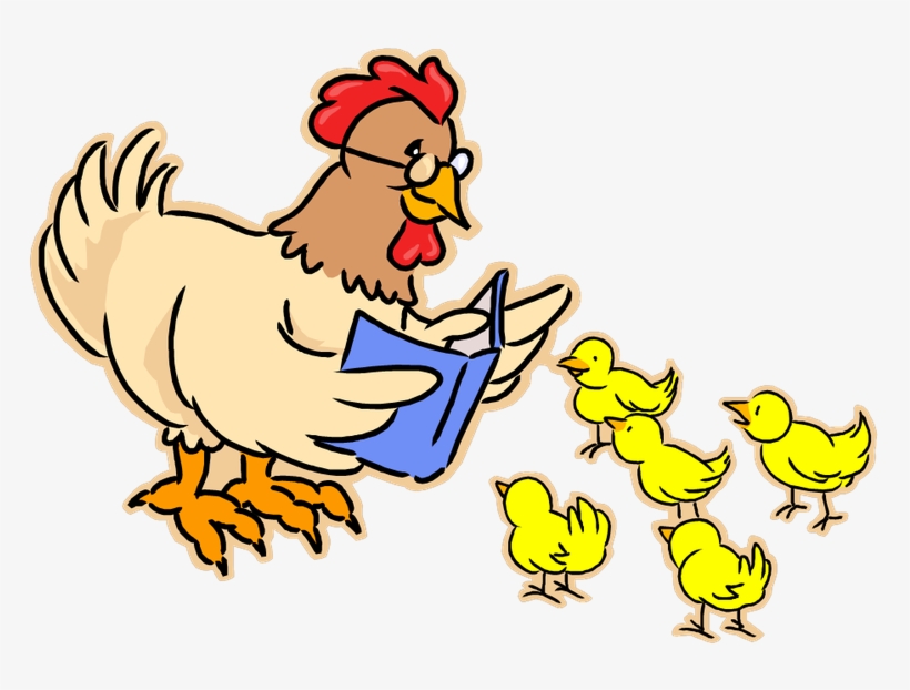 Hen Reading Poule Et Poussins Dessin Transparent Png 768x551 Free Download On Nicepng