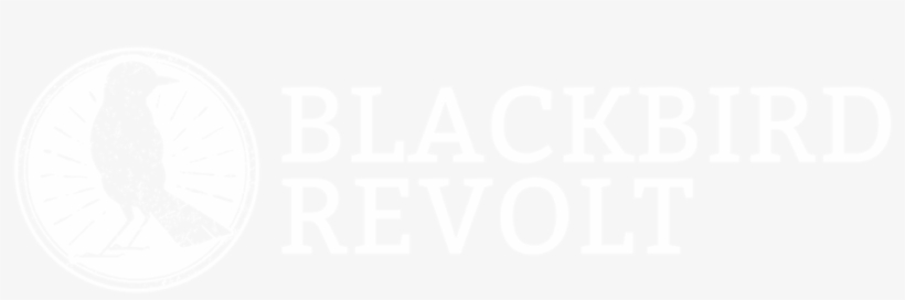 Blackbirdrevolt Secondarylogoƒ White - Twitter White Icon Png, transparent png download