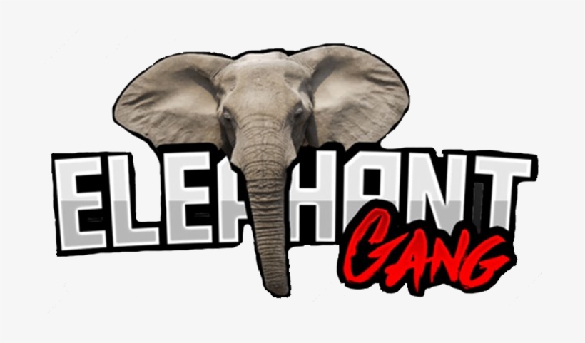 Green Elephants: How Internal Service Providers Can, transparent png download