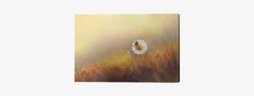 Flower Daisies Chamomile With Ladybug In The Grass - Wandtattoo Buddha Klebefieber Größe: 50 Cm H X 40 Cm, transparent png download