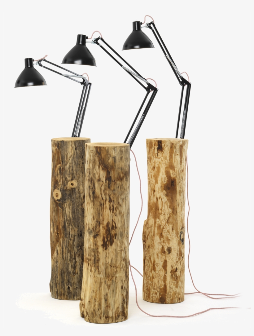 Tree Trunk Lamp, transparent png download