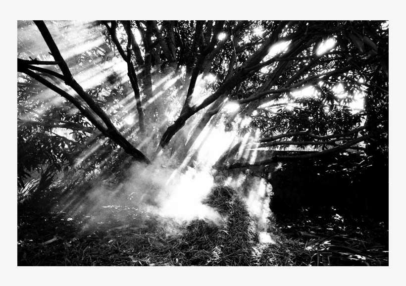 Rays Of Light - Monochrome, transparent png download