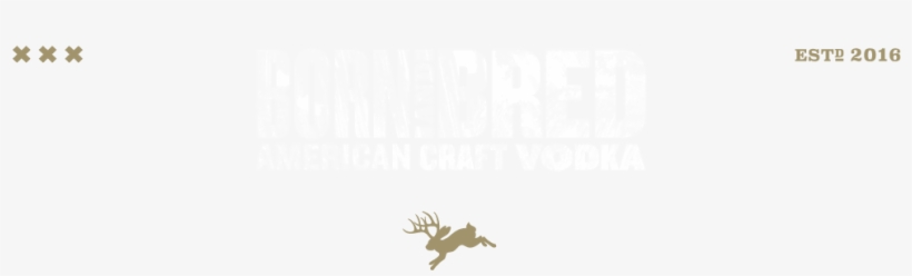 América 24, transparent png download