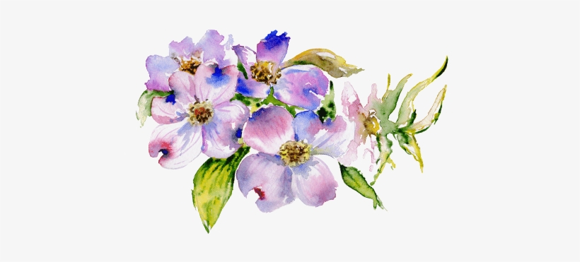 I Have Tried To Develop A Program That Has Emotional - Dogwood Flower Watercolor, transparent png download