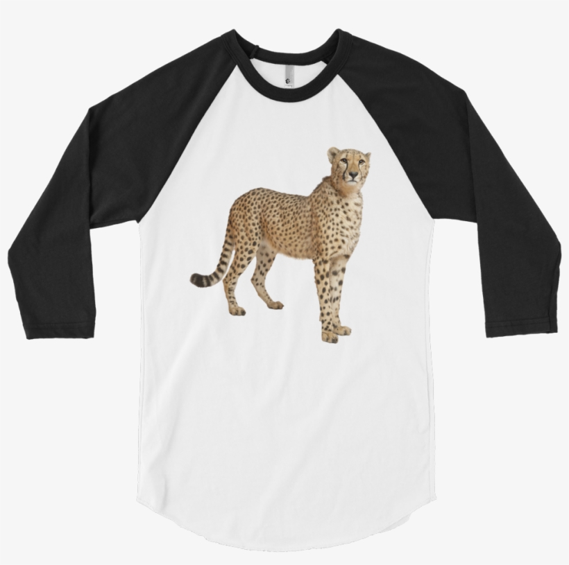 Cheetah Print 3/4 Sleeve Raglan Shirt - Funny Pictures For T Shirts, transparent png download