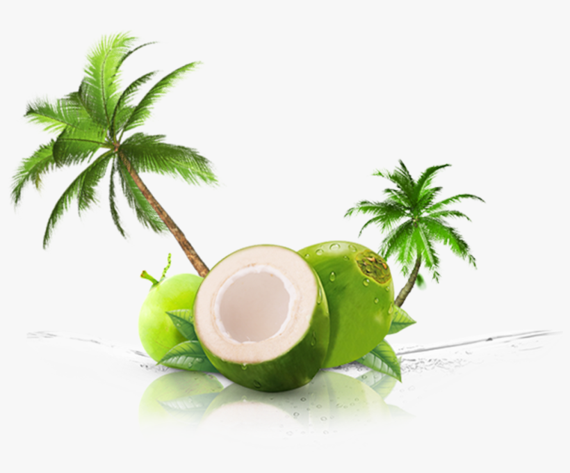 Gift Of Nature - Screen Door Magnets – Twist, Click And Lock - Keep, transparent png download