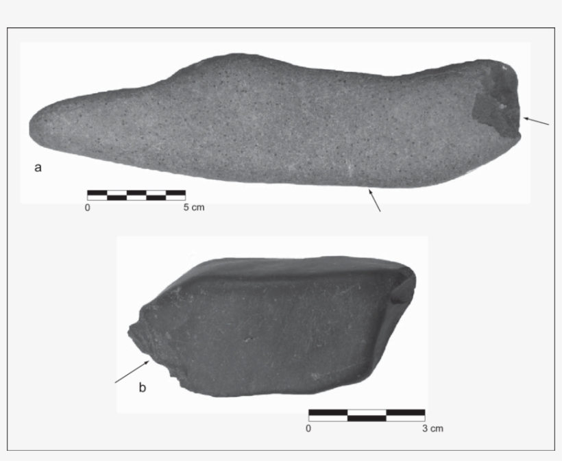 Download, transparent png download