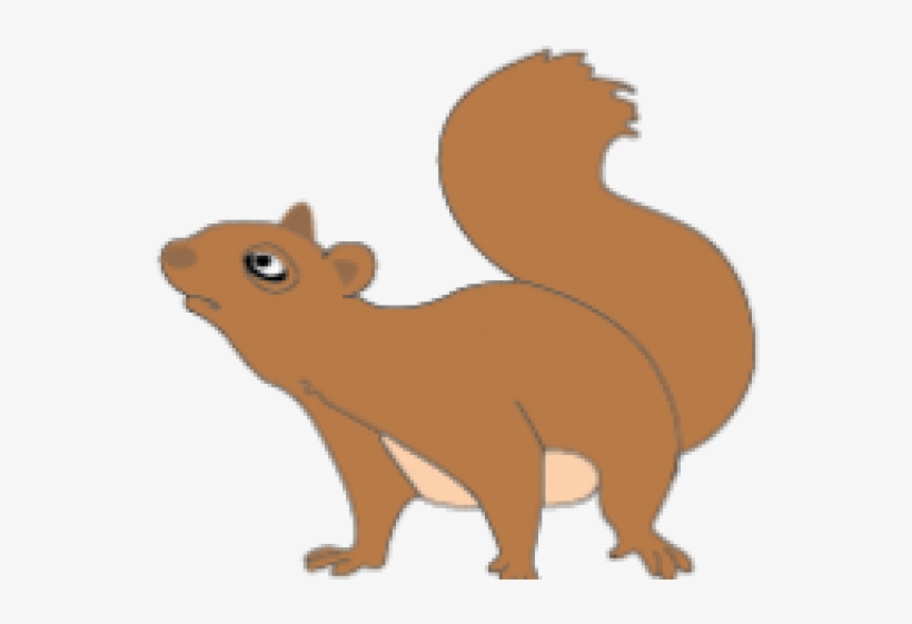 Eurasian Red Squirrel, transparent png download