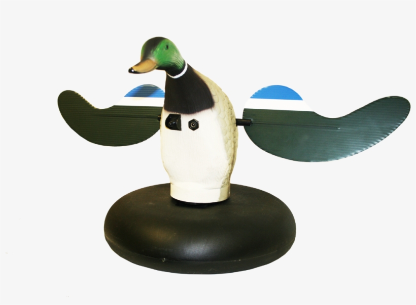 510314 Flydende Gråand - Canard À Aile Tournante Electrique, transparent png download