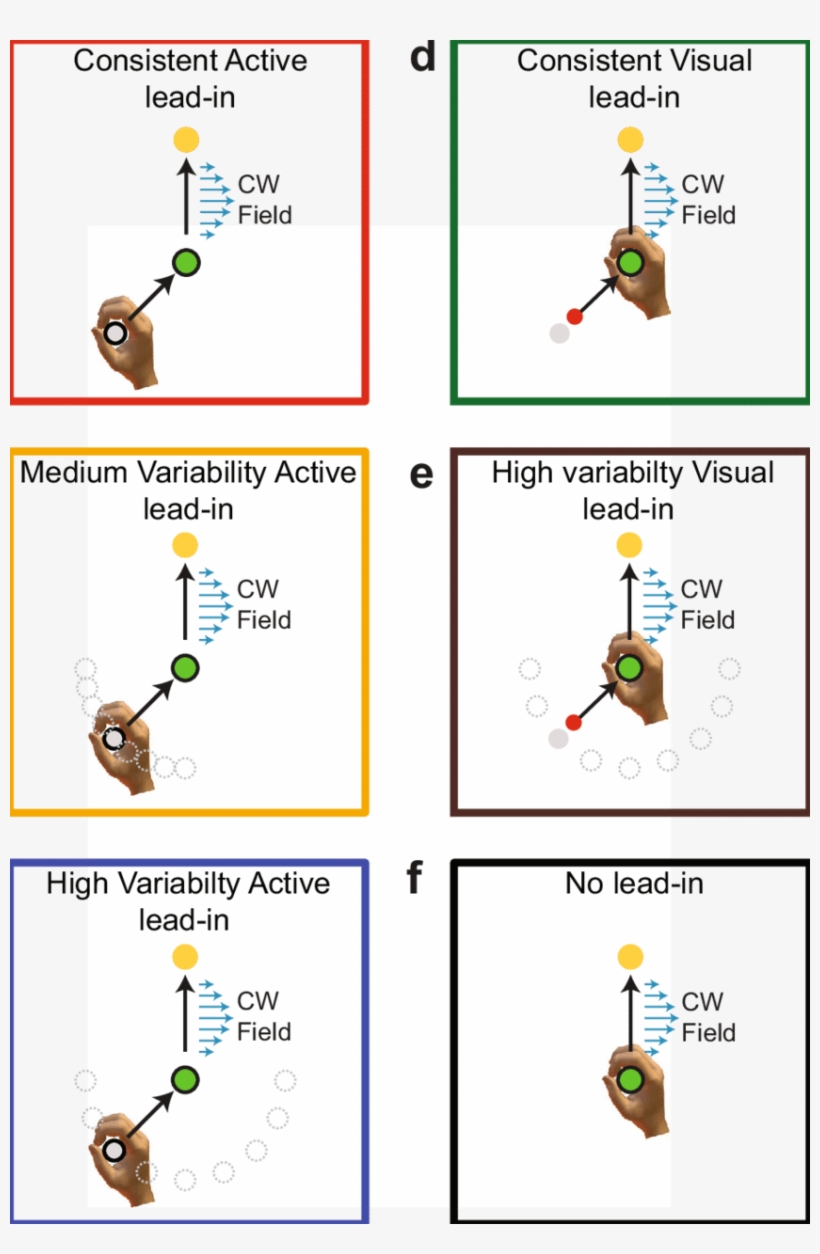 Experimental Paradigm In Which The Effects Of Sensorimotor - Diagram, transparent png download