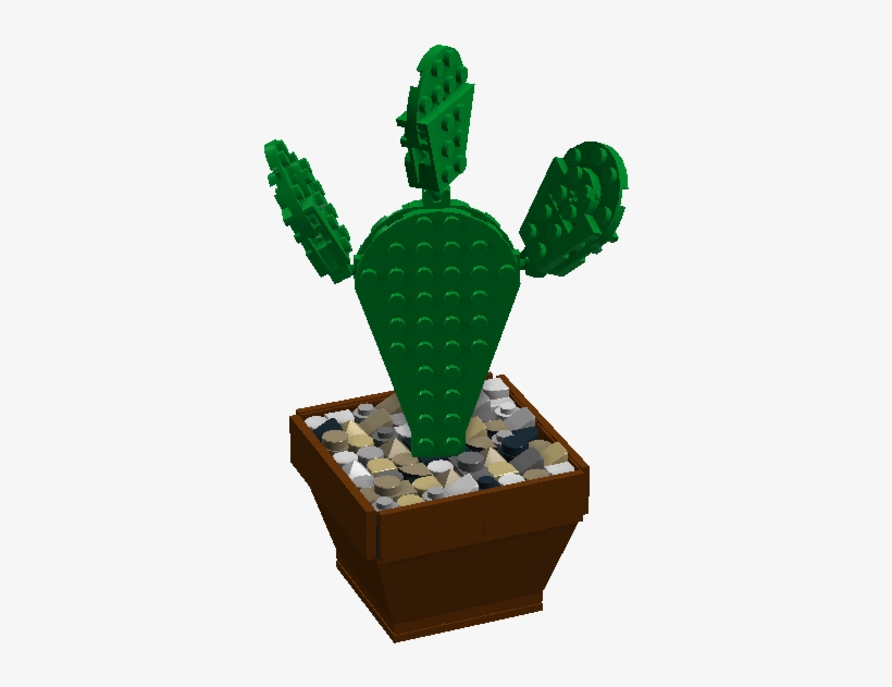 1 / - Barbary Fig, transparent png download