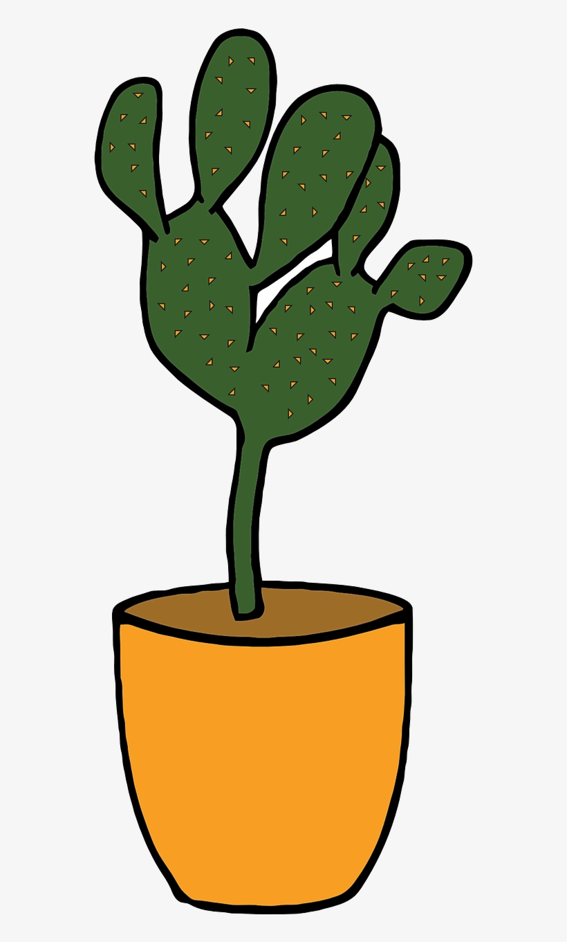 Cactus Plant Green Transparent Image, transparent png download