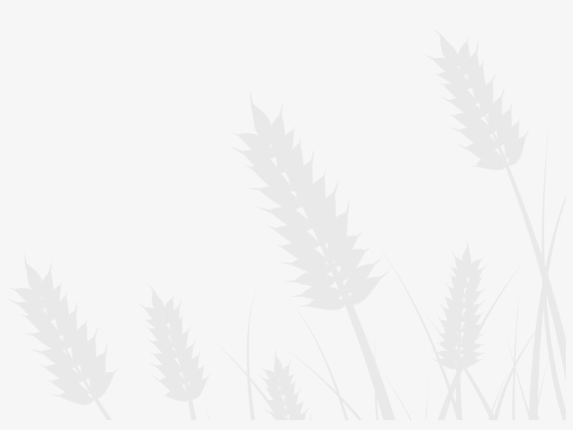 Rəˈkəv Rē (noun) To Be Made Well - White Fields Foundation, transparent png download