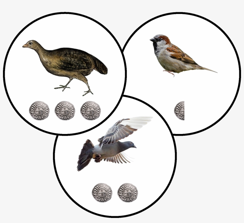 The Mathematician Leonardo Of Pisa Is Famous For His - Pigeon Fly To Love Joy Peace Greeting Cards, transparent png download