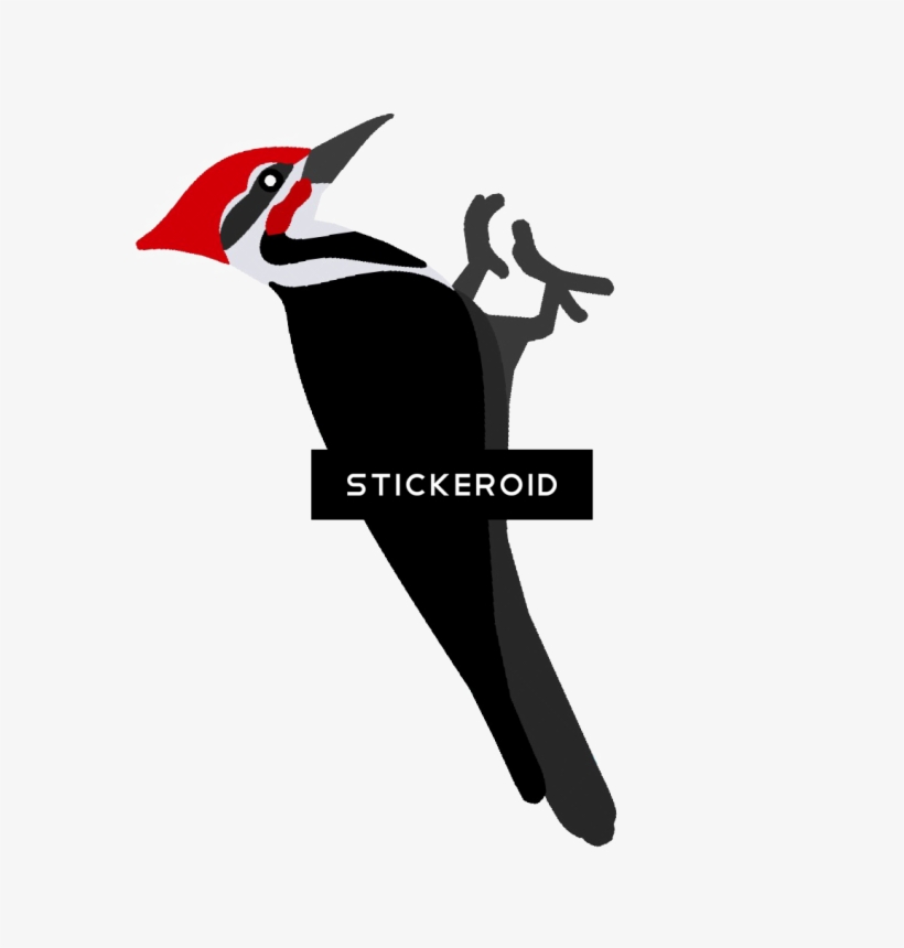 Woody Woodpecker - Pileated Woodpecker, transparent png download