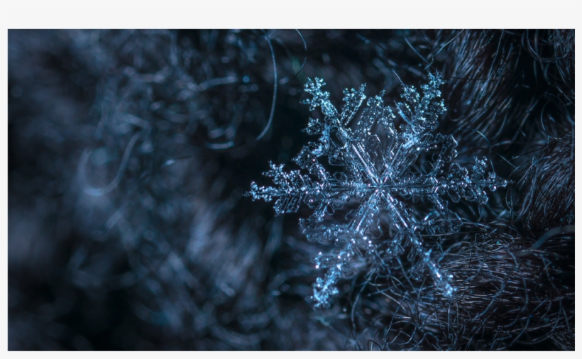 Score 54% - Snowflake, transparent png download