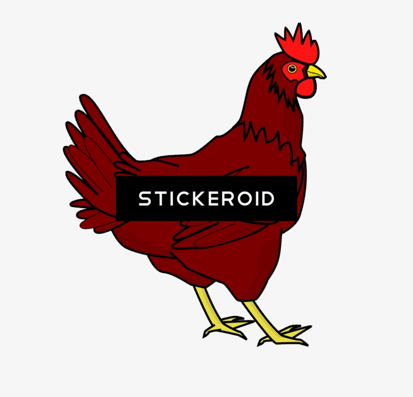 鸡png透明图像 - 鸡 - Chicken Clip Art, transparent png download