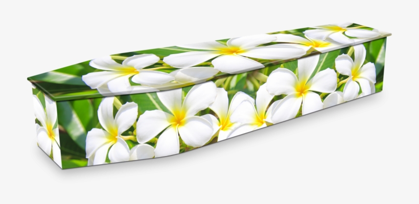 Expression Cofins - Coffin, transparent png download