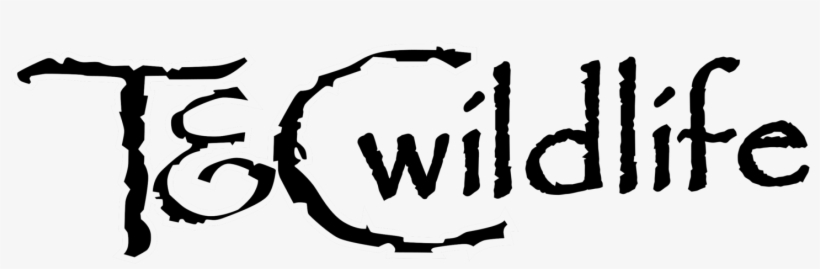 T And C Wildlife - Communities In The Minneapolis–saint Paul Metro Area, transparent png download