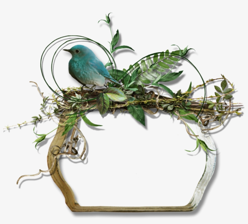 *✿**✿*frames*✿**✿* Christmas Border, - Canvas, transparent png download