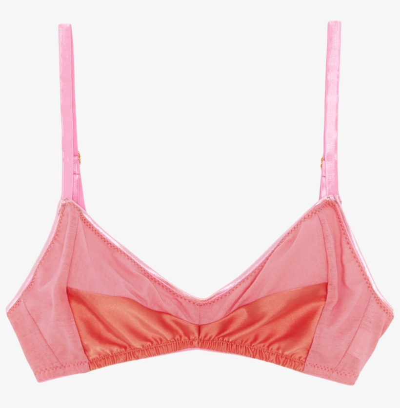 Bra, transparent png download