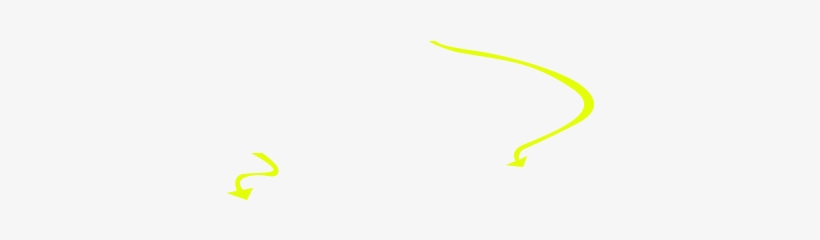 Shenzhen Bay - Wrapping Paper, transparent png download