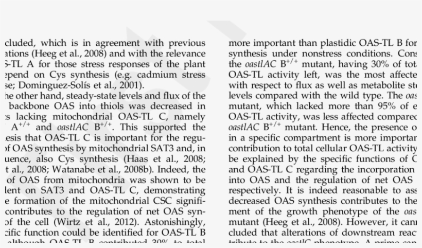 Immunological Detection Of Oas Tl Proteins And Oas - Document, transparent png download