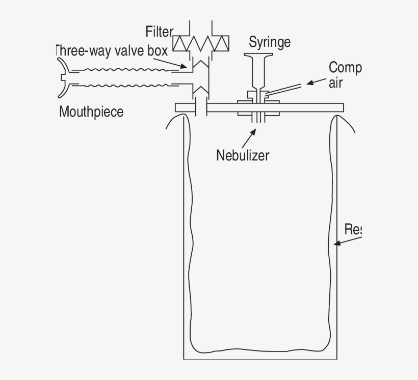 Schematic Representation Of The Reservoir Bronchial - Diagram, transparent png download