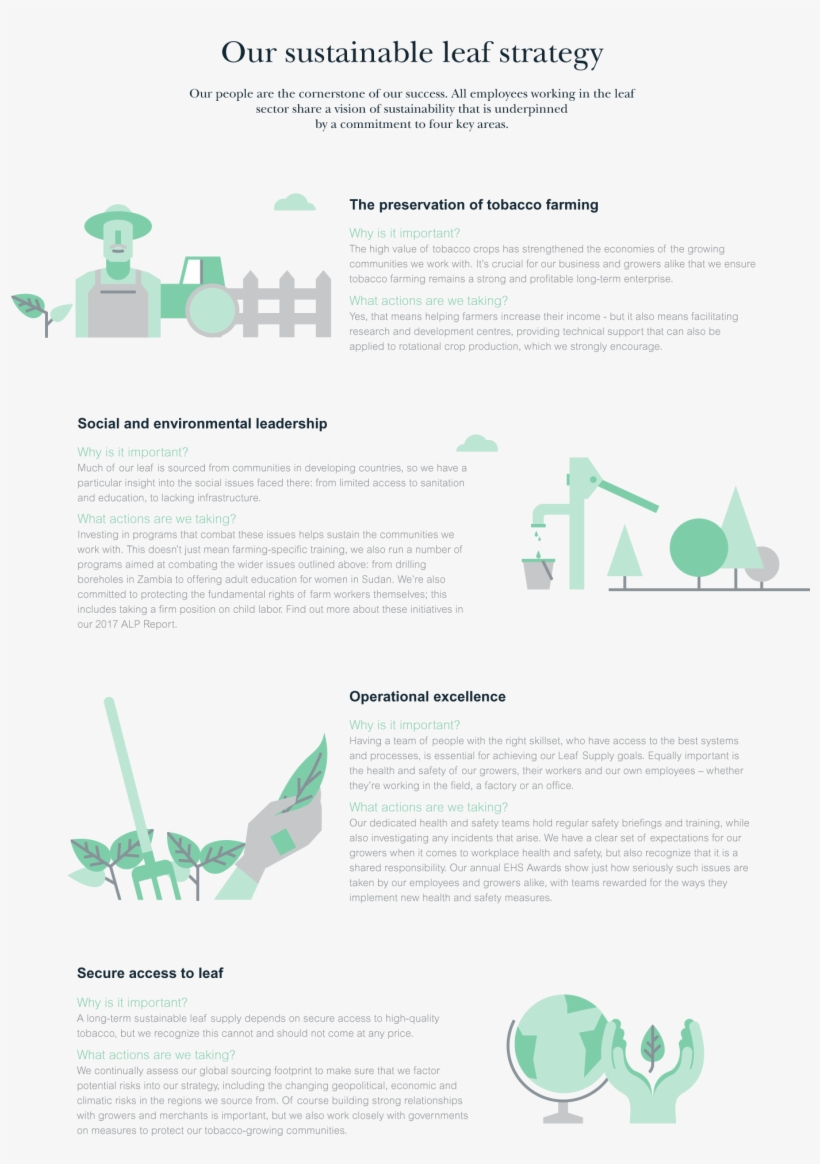 Securing A Sustainable Leaf Supply - Design, transparent png download