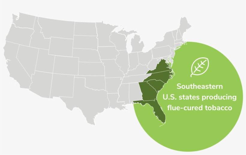 Our Growers Are Heavily Invested In Conservation And - Y All You All Map, transparent png download