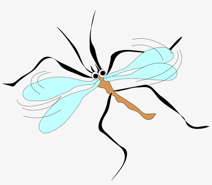 July 4th Weekend Weather Brings Sun, Mosquitoes - Mosquito Clip Art, transparent png download