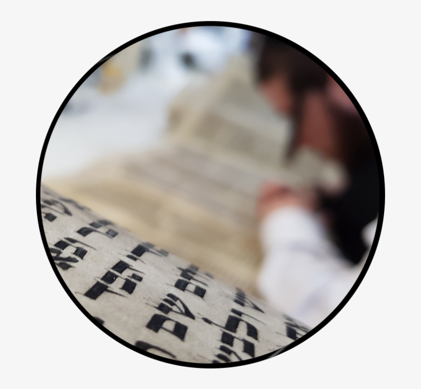 Circle, transparent png download