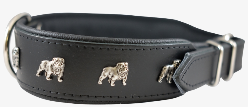 Portable Network Graphics, transparent png download